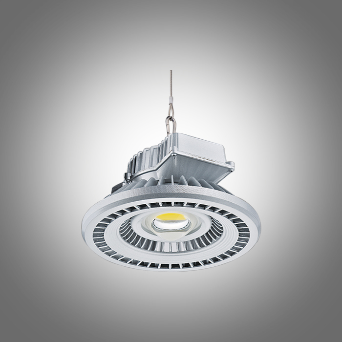 LEDV MSF-DL