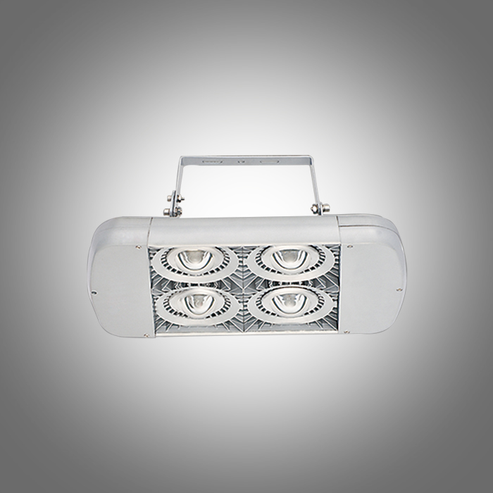 LEDV MSF-ZJ